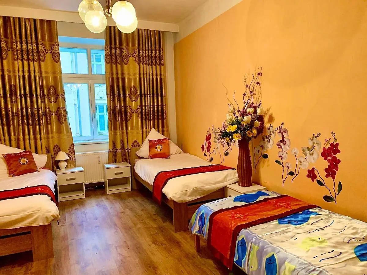 Blue Rose Apartman 카를로비바리 아파트
