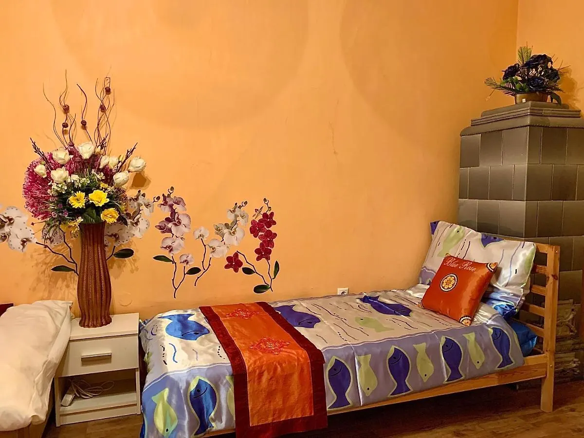 Blue Rose Apartman 카를로비바리