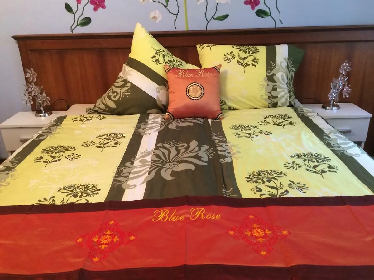 아파트 Blue Rose Apartman 카를로비바리 체코