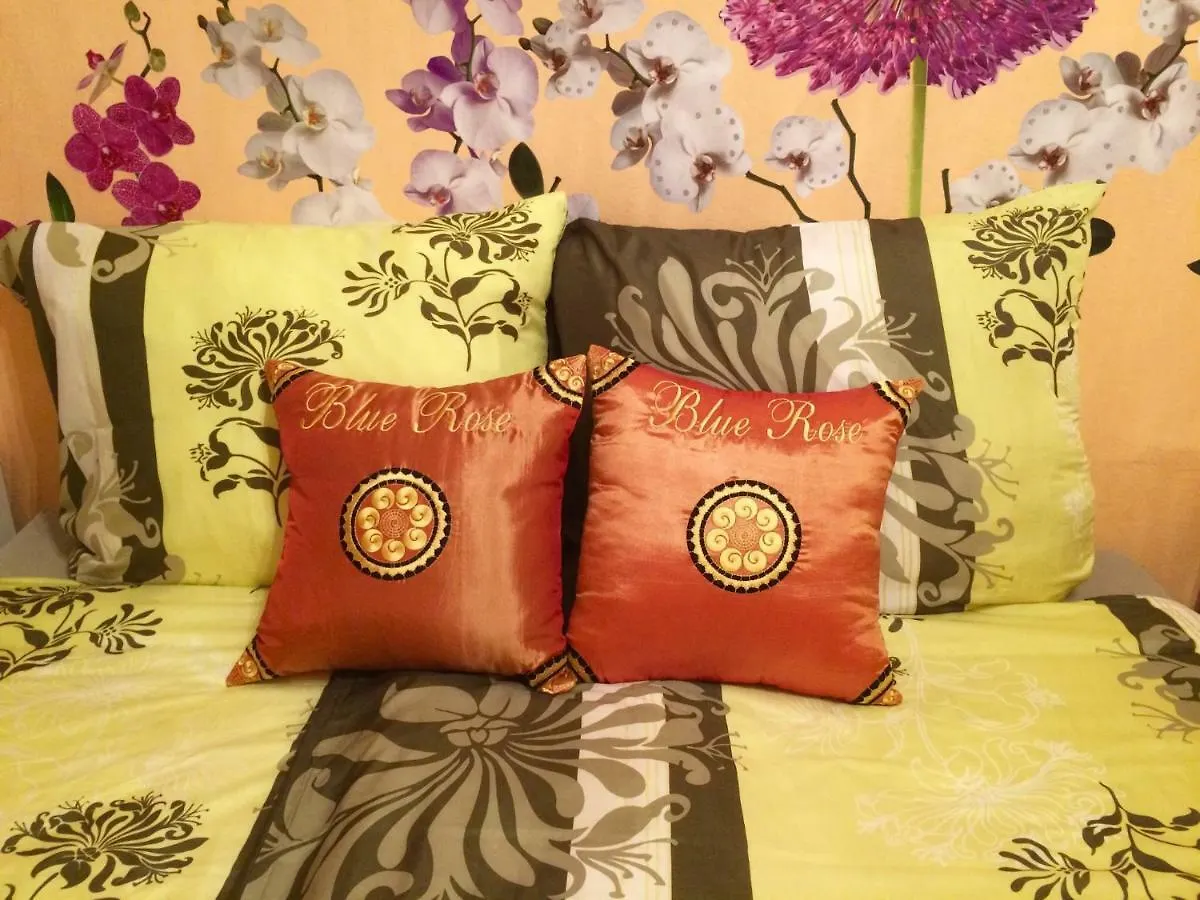 Blue Rose Apartman Karlovy Vary Apartment