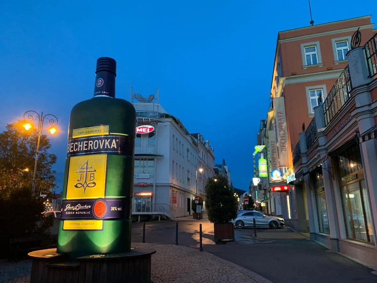 Blue Rose Apartman Karlovy Vary Apartment